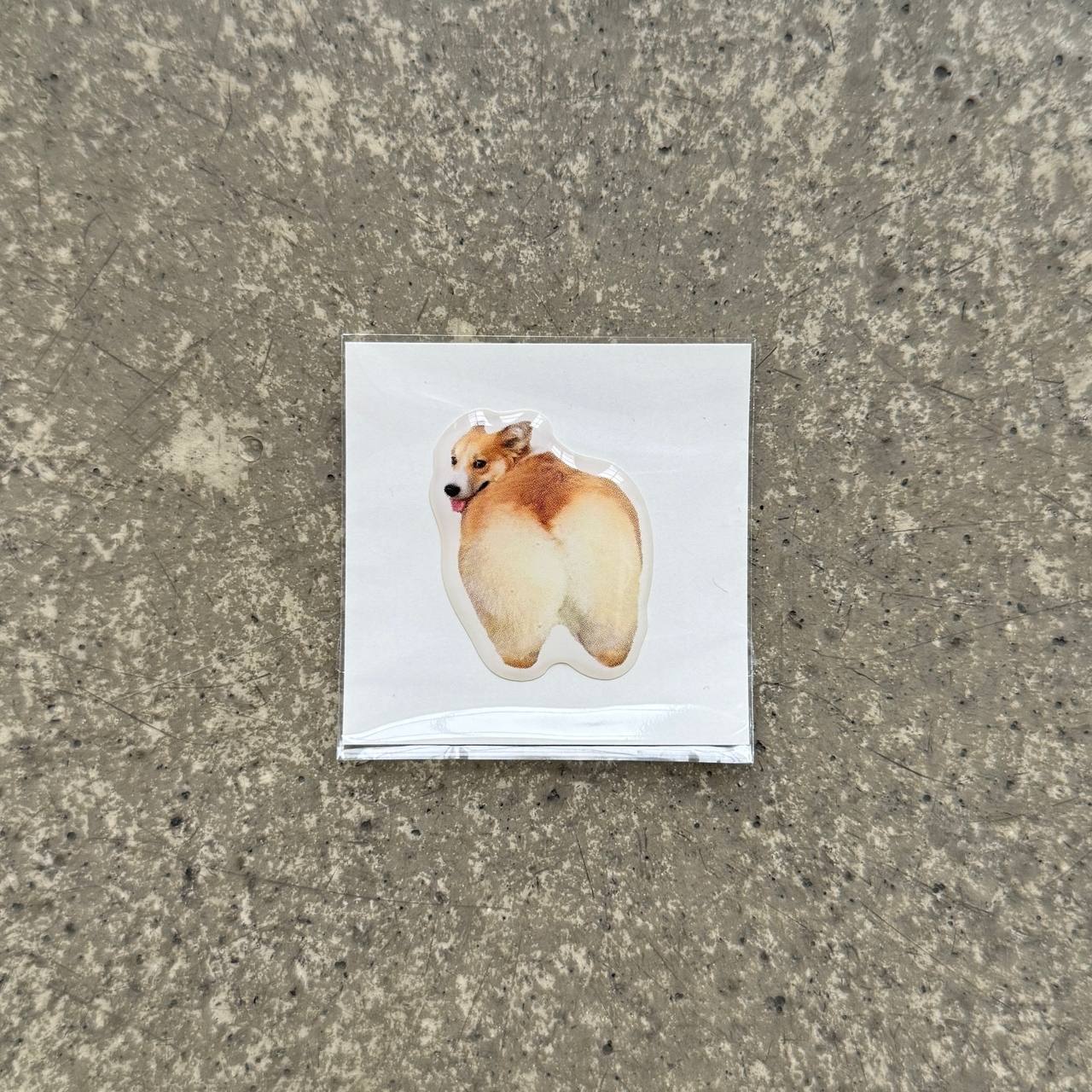 Объемный 3D стикер - Корги (32)