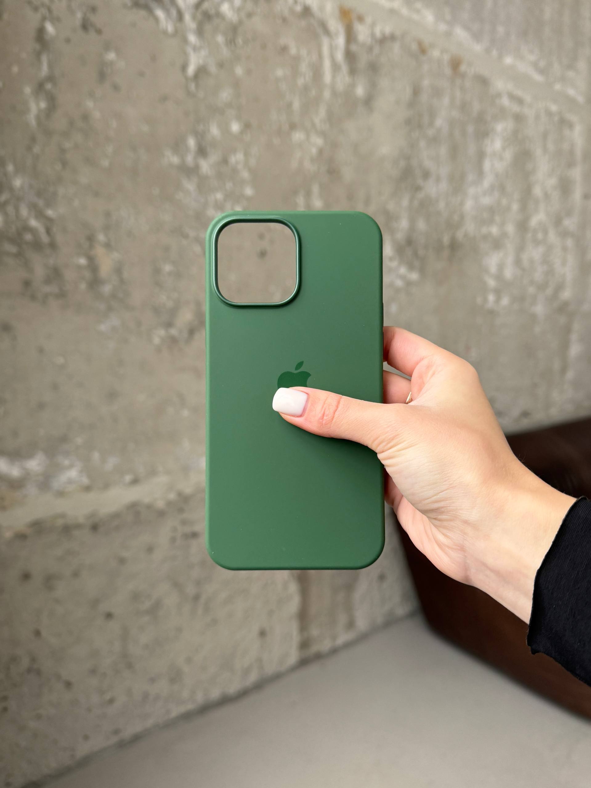 Чохол Silicone case з Magsafe на iPhone 13 Pro Max Clover (05)