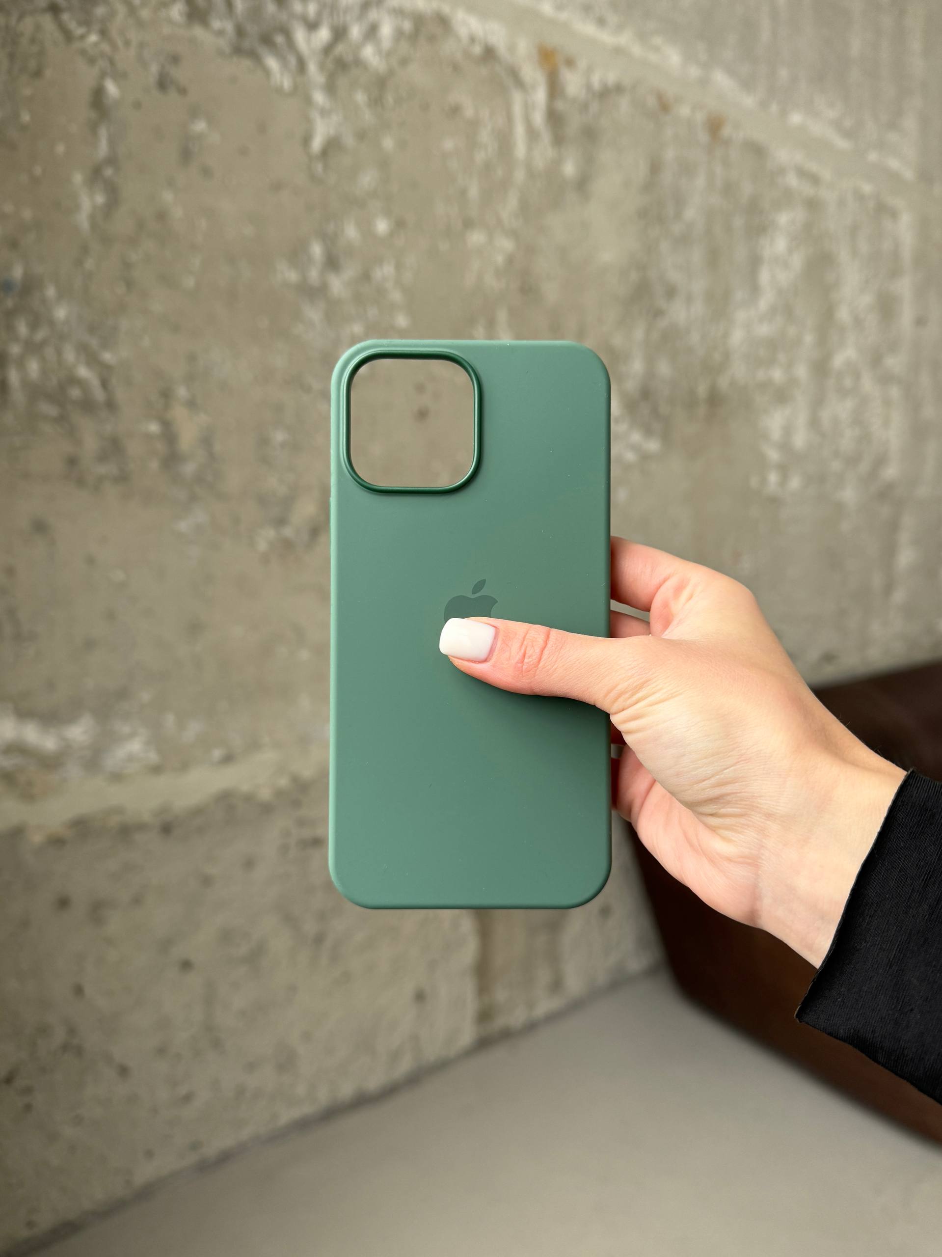 Чохол Silicone case з Magsafe на iPhone 13 Pro Max Eucalyptus (11)