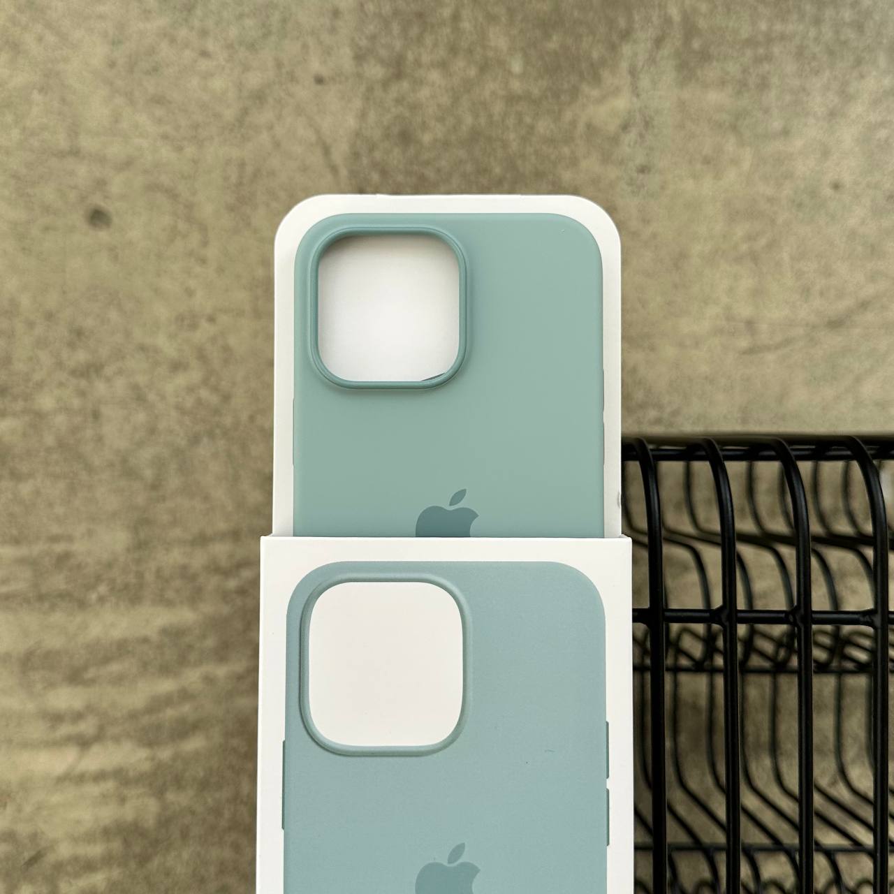 Чохол Silicone case з Magsafe на iPhone 14 Pro Max Succulent (02)