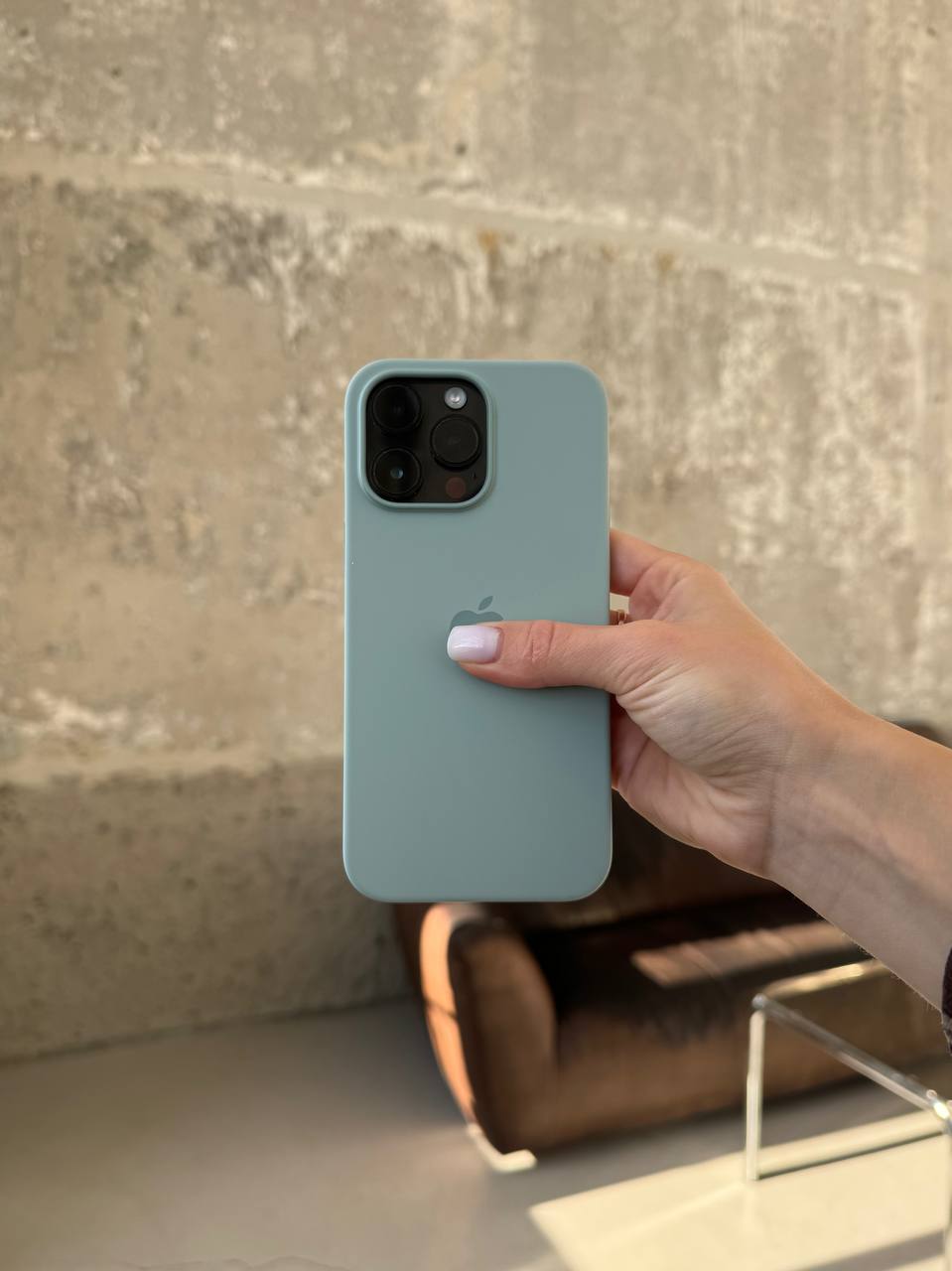 Чехол Silicone case с Magsafe на iPhone 14 Pro Max Succulent (02)