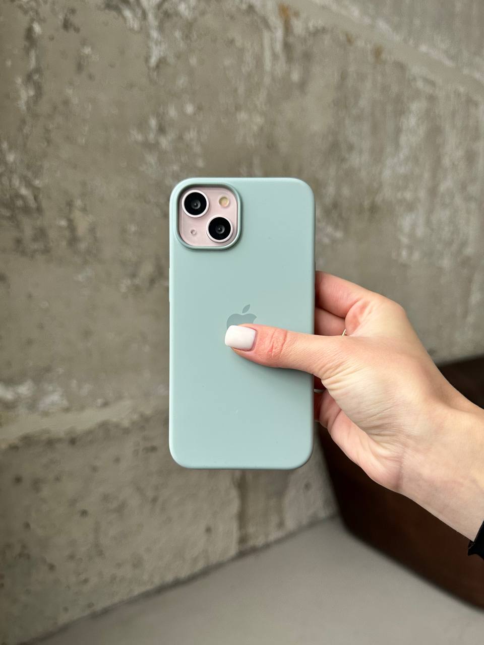 Чехол Silicone case с Magsafe на iPhone 14 Succulent (02)