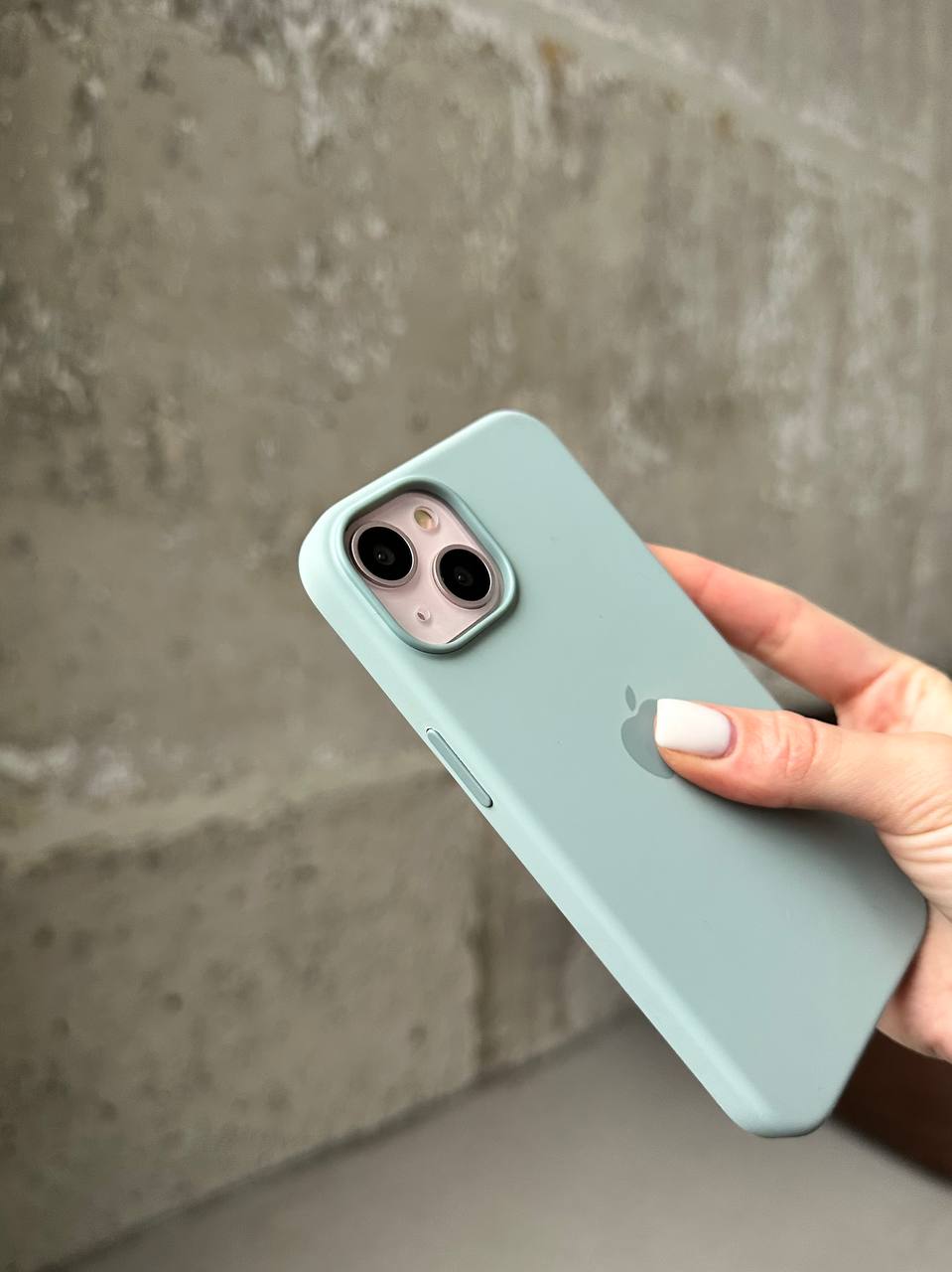 Чехол Silicone case с Magsafe на iPhone 14 Succulent (02)