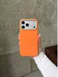 Чохол Flower Silicone Case з Magsafe на iPhone 17 Pro Max Orange (09)