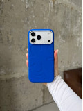 Чохол Flower Silicone Case з Magsafe на iPhone 17 Pro Max Electric Blue (03)