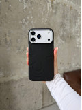 Чохол Flower Silicone Case з Magsafe на iPhone 17 Pro Max Black (04)