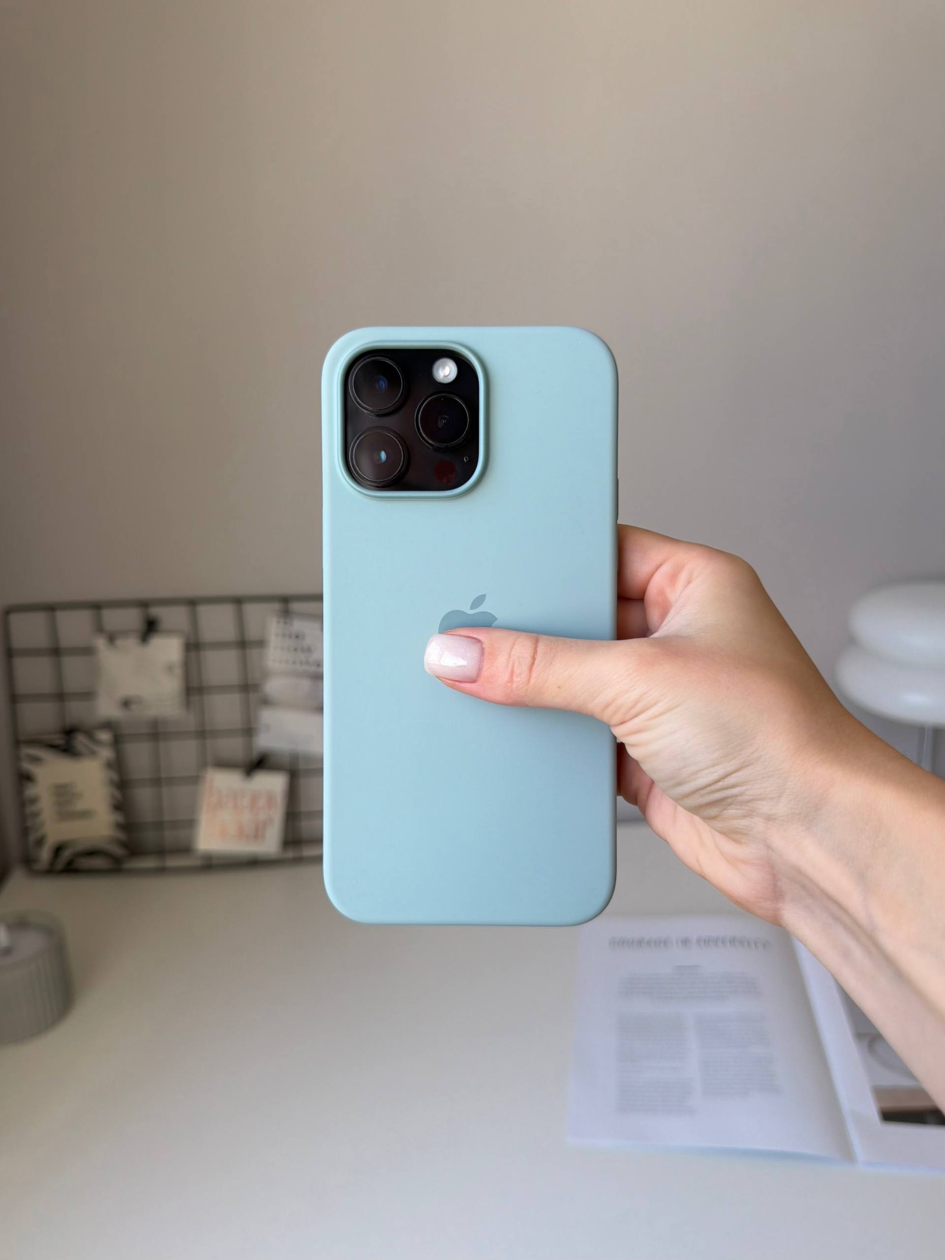Чехол Silicone case с Magsafe на iPhone 14 Pro Max Succulent (02)