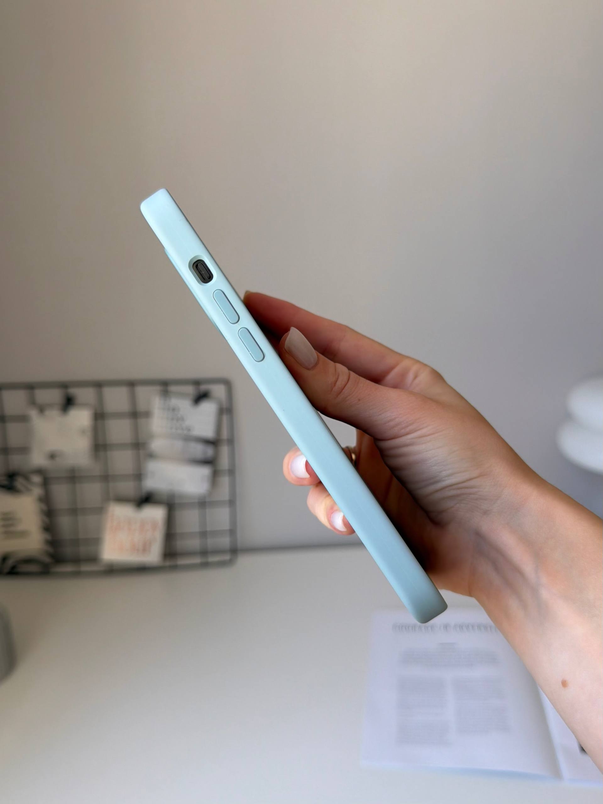 Чехол Silicone case с Magsafe на iPhone 14 Pro Max Succulent (02)