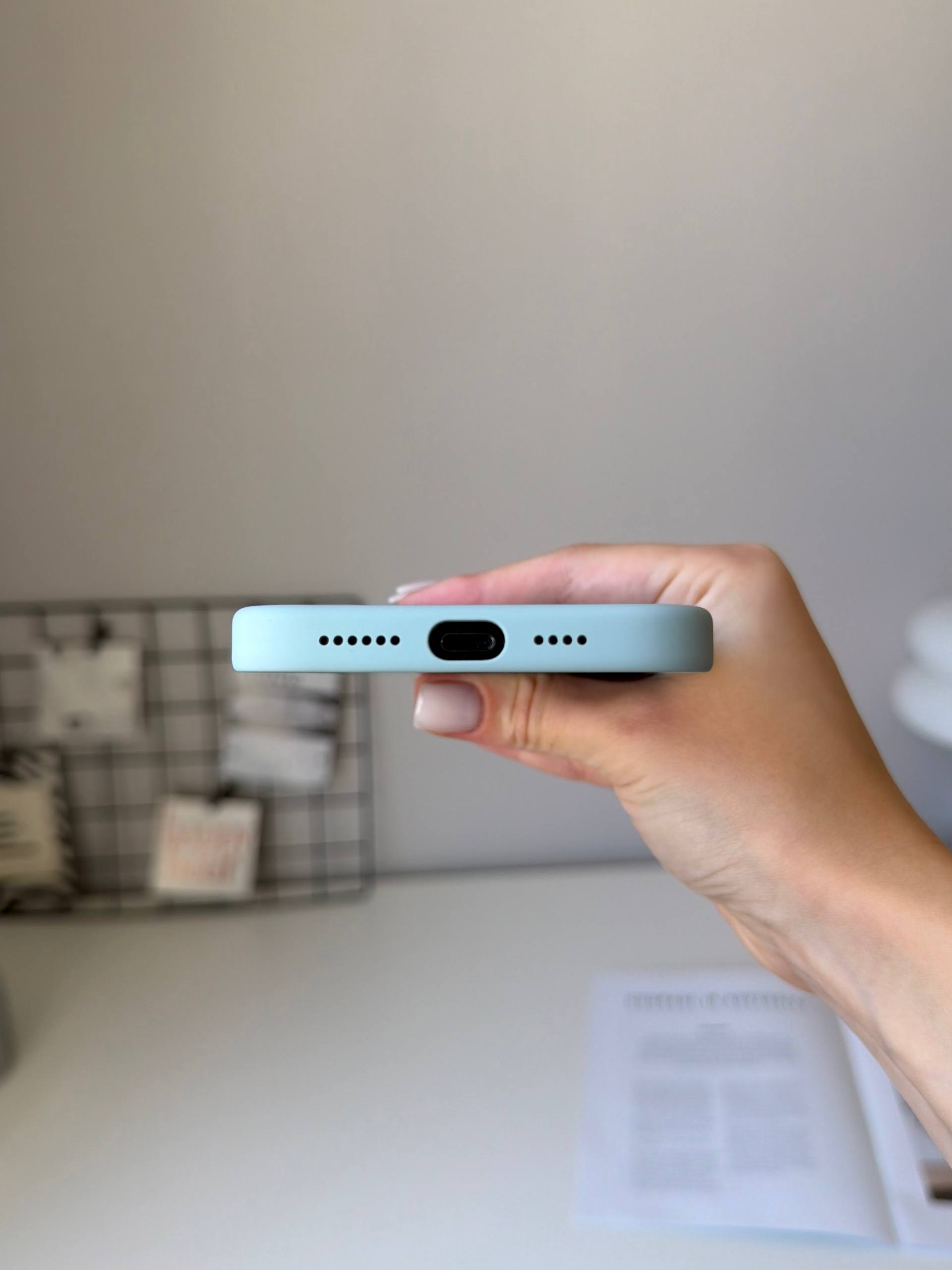 Чехол Silicone case с Magsafe на iPhone 14 Pro Max Succulent (02)